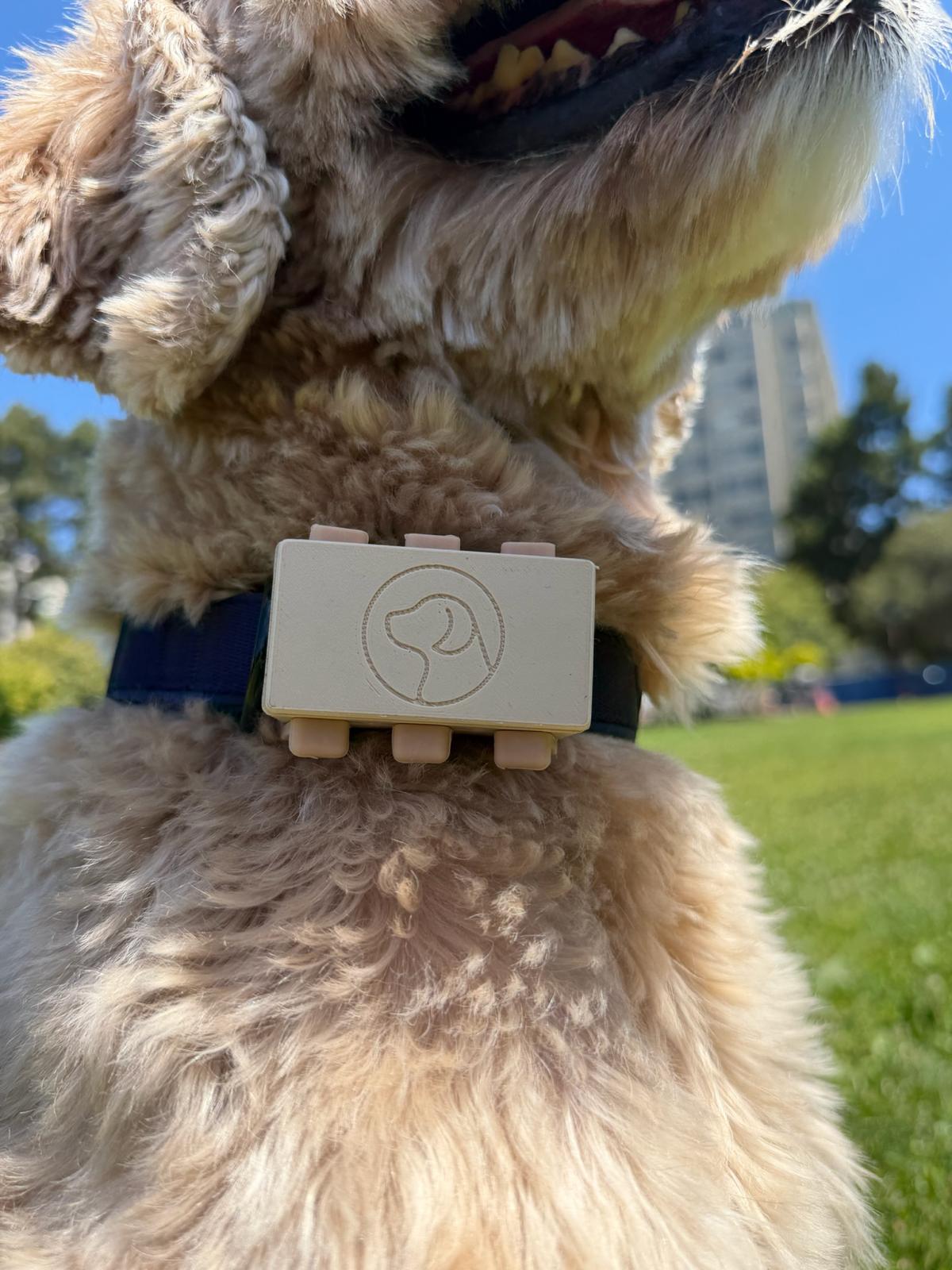 furcast